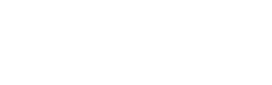 Netsons Hosting | Premium Website Templates & Themes | Travolgi Themes